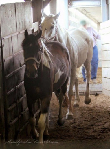 Screen Shot 2019-04-03 at 11.14.27 AM.png